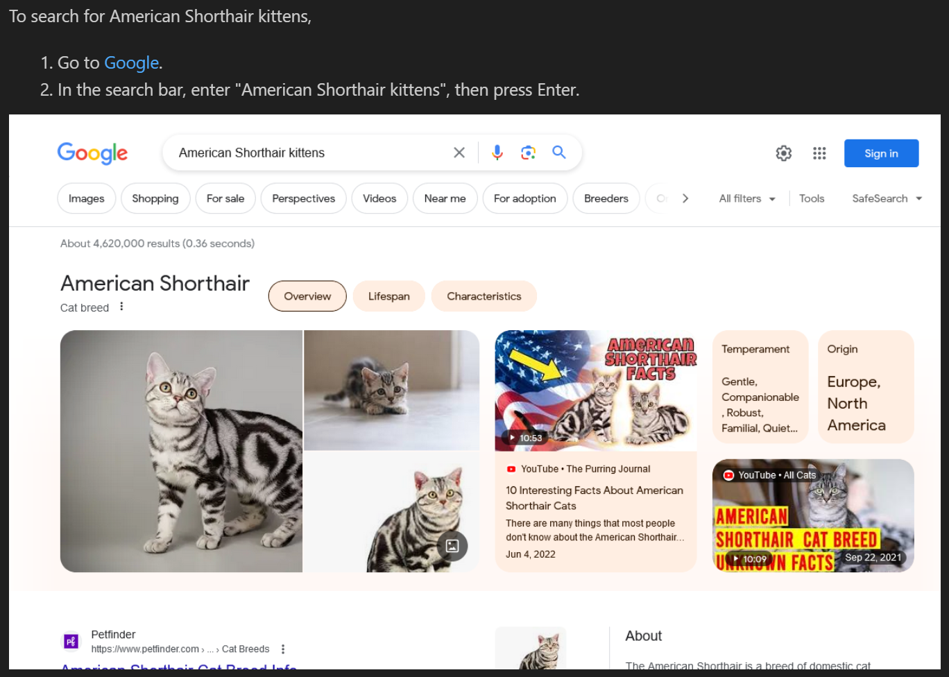 Rendered preview of kitten-search.md with screenshot